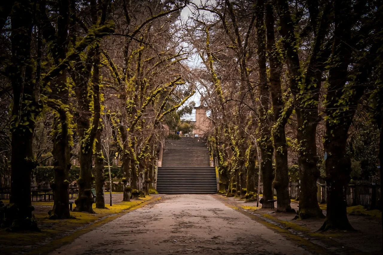 golden dreams

📸: Canon EOS Rebel T7