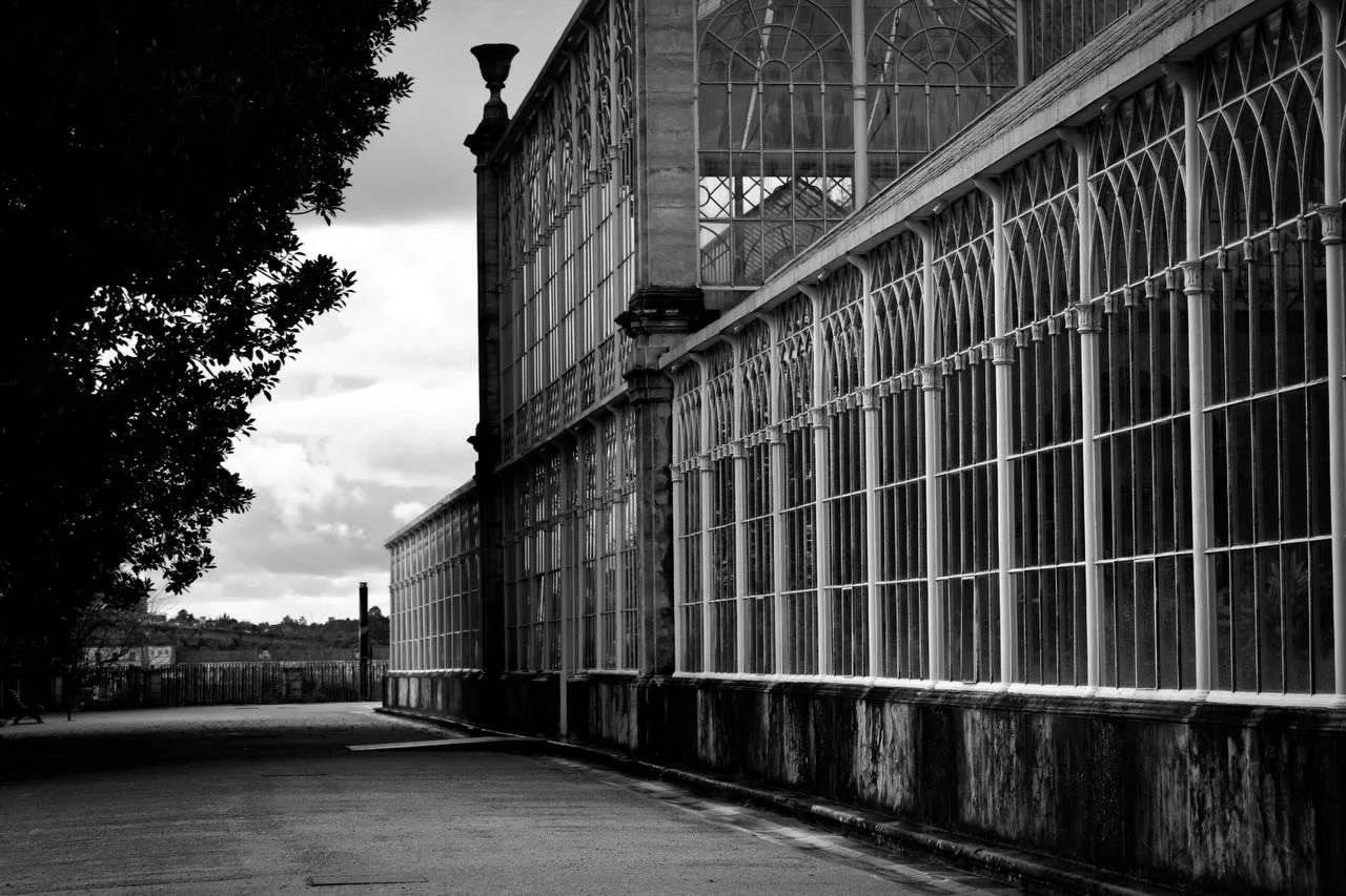 the garden

📸: Canon EOS Rebel T7