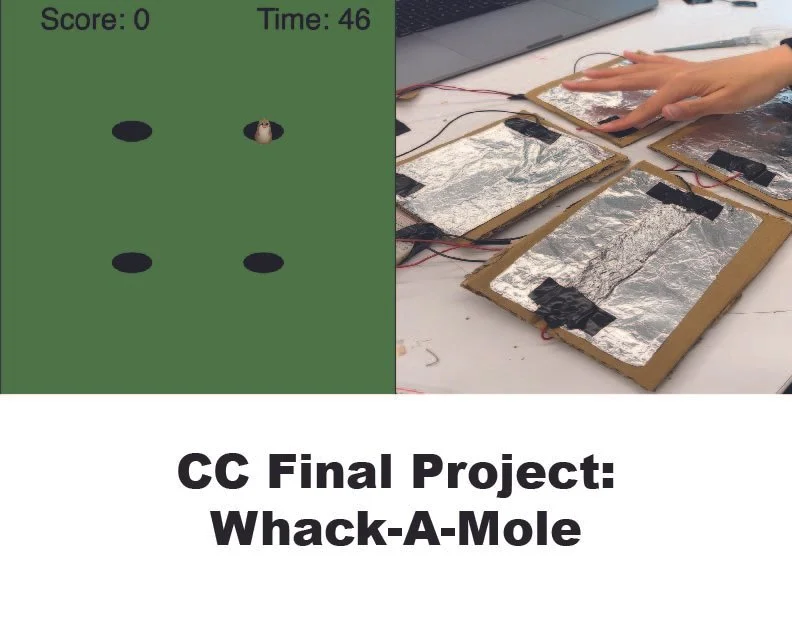 CC final project video cover.jpg