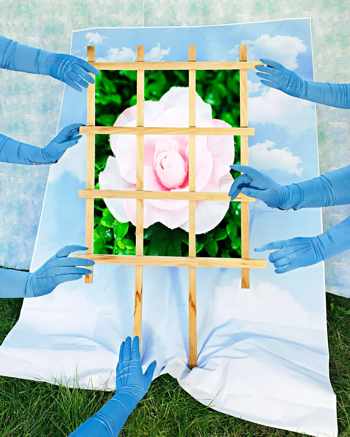 skytrellis1_16x20 copy.jpg