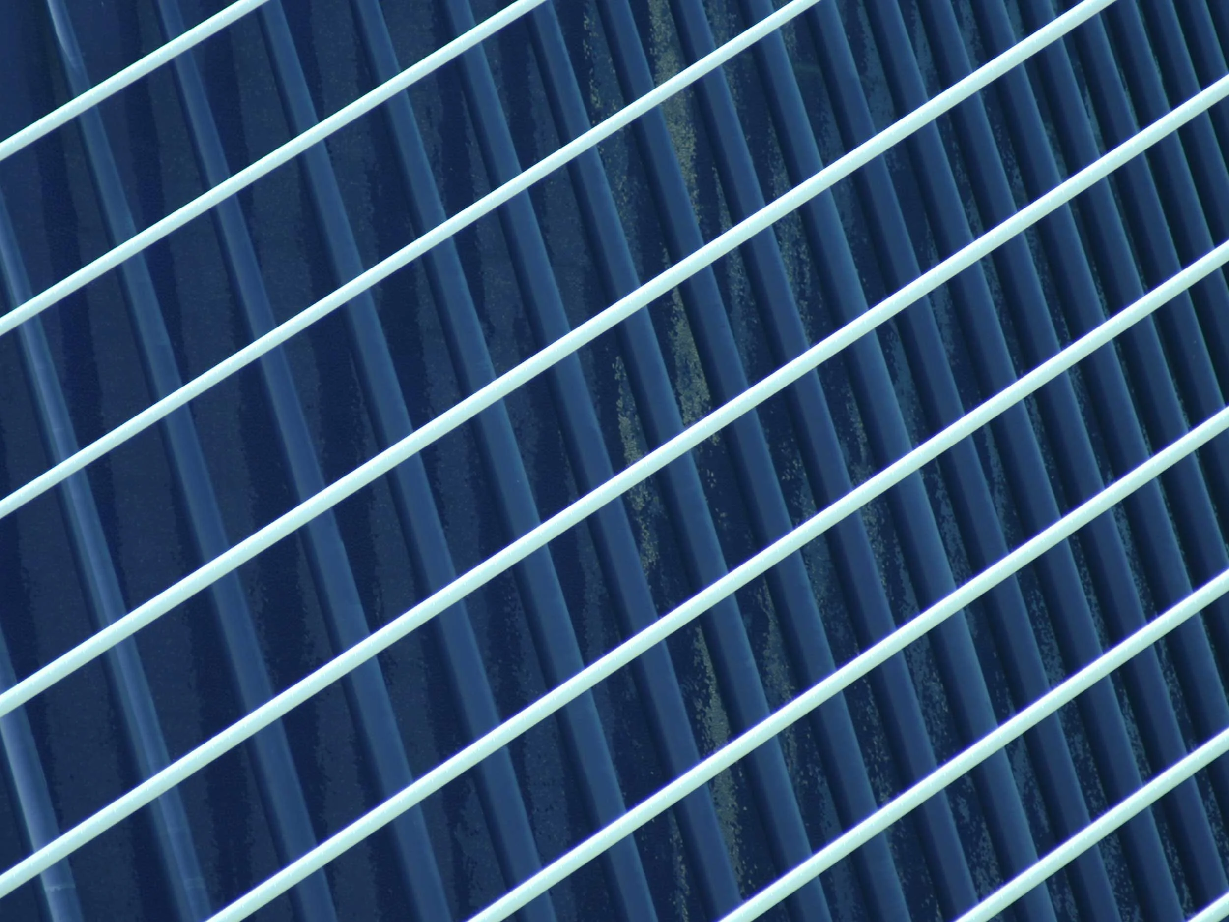 valencia_calatrava.jpg