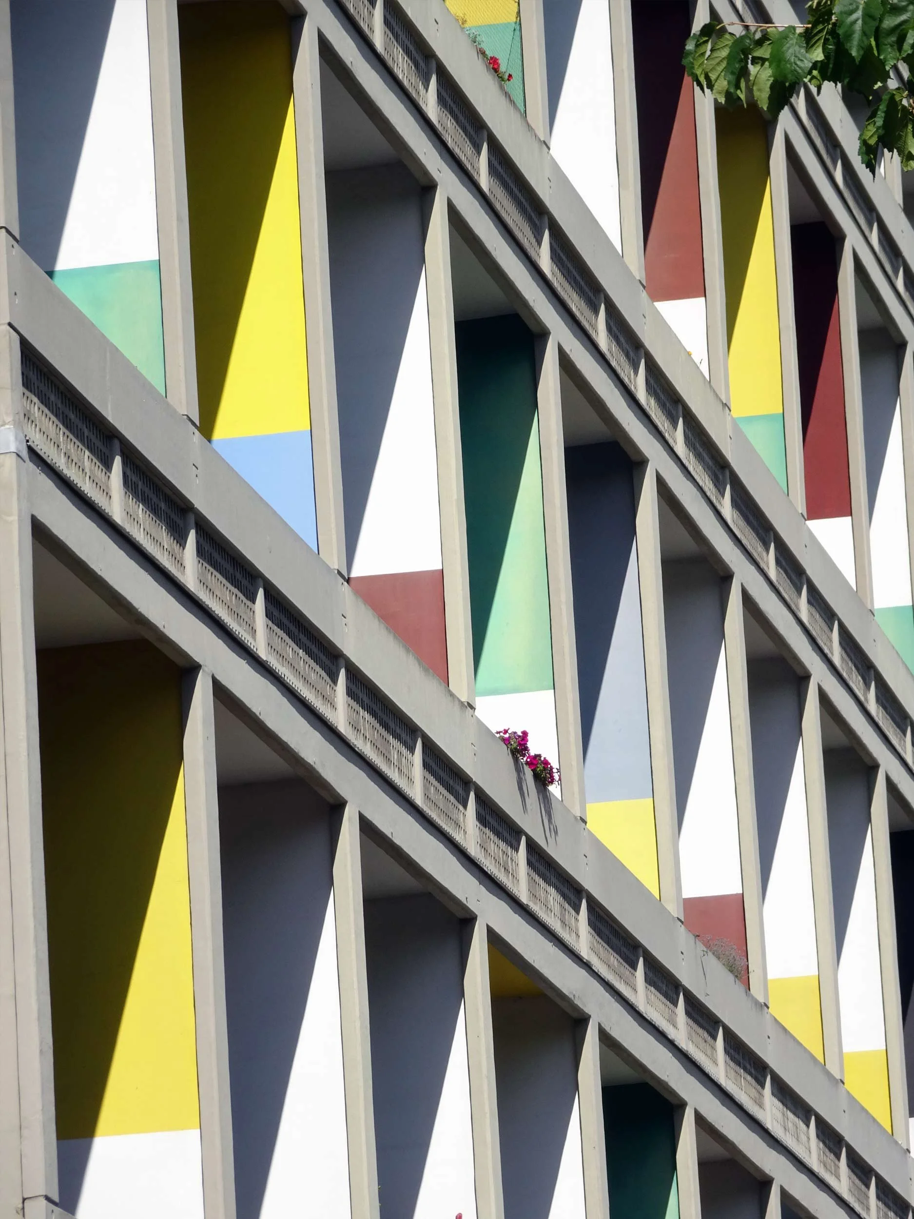 berlino_corbu.jpg