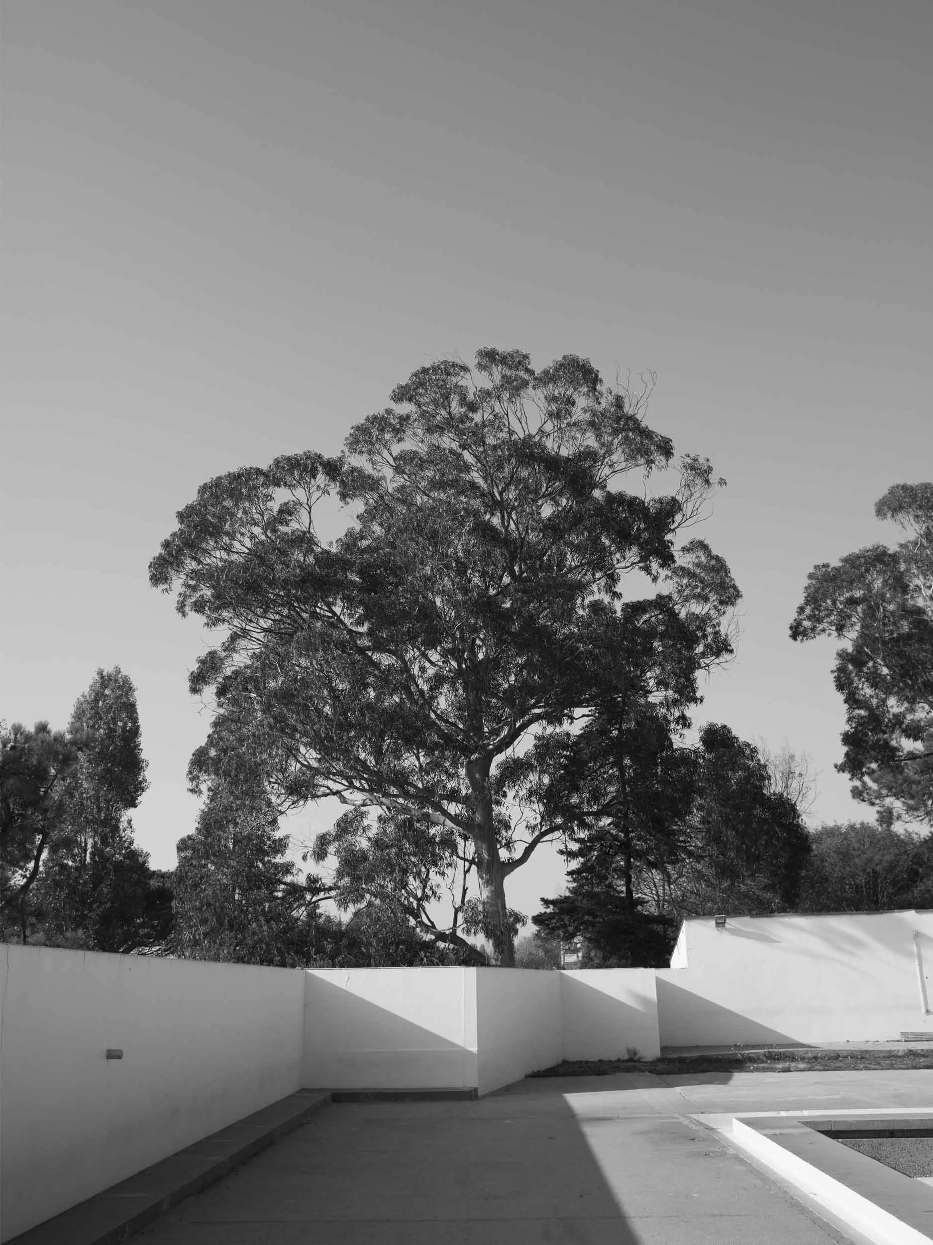 matosinbhos_Siza.jpg