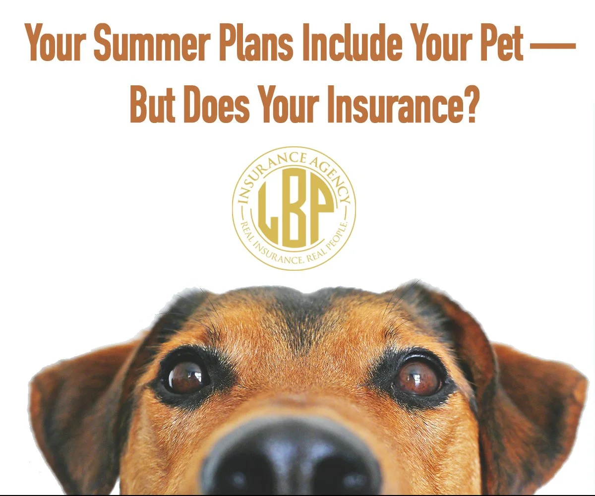 Your Summer Plans Include Your Pet — But Does Your Insurance?