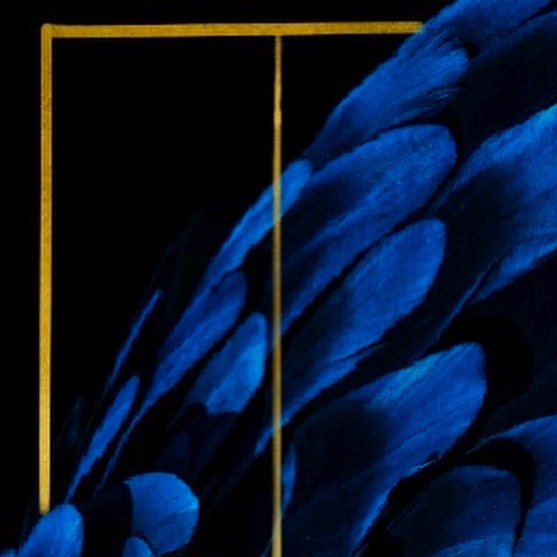 🎺 New cover (and new story!!) coming to Wattpad on Tuesday. 🎺 

I am trying my hand at the Open Novella Contest this year. 

Cozy fantasy, I told myself. C o z y . Because Bleed the Wolves swims in dark waters and I need me some sunshine. 

It star