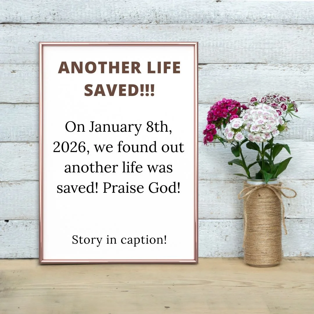 A mother came to The Back Porch. She expressed a desire to terminate her pregnancy because she is new in Canada, a student, and felt that having a baby at this time might hinder her plans. 

We encouraged her to see the baby as a blessing and advised