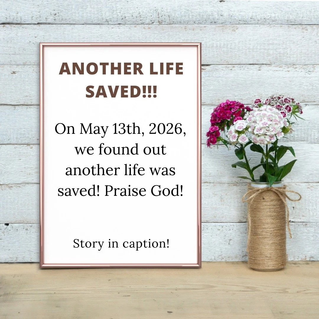 Alison* came into the porch hoping to book an appointment for an abortion. Immediately after first speaking to her she burst into tears explaining her situation. She shared that she is not in a good situation in the place that she is currently living