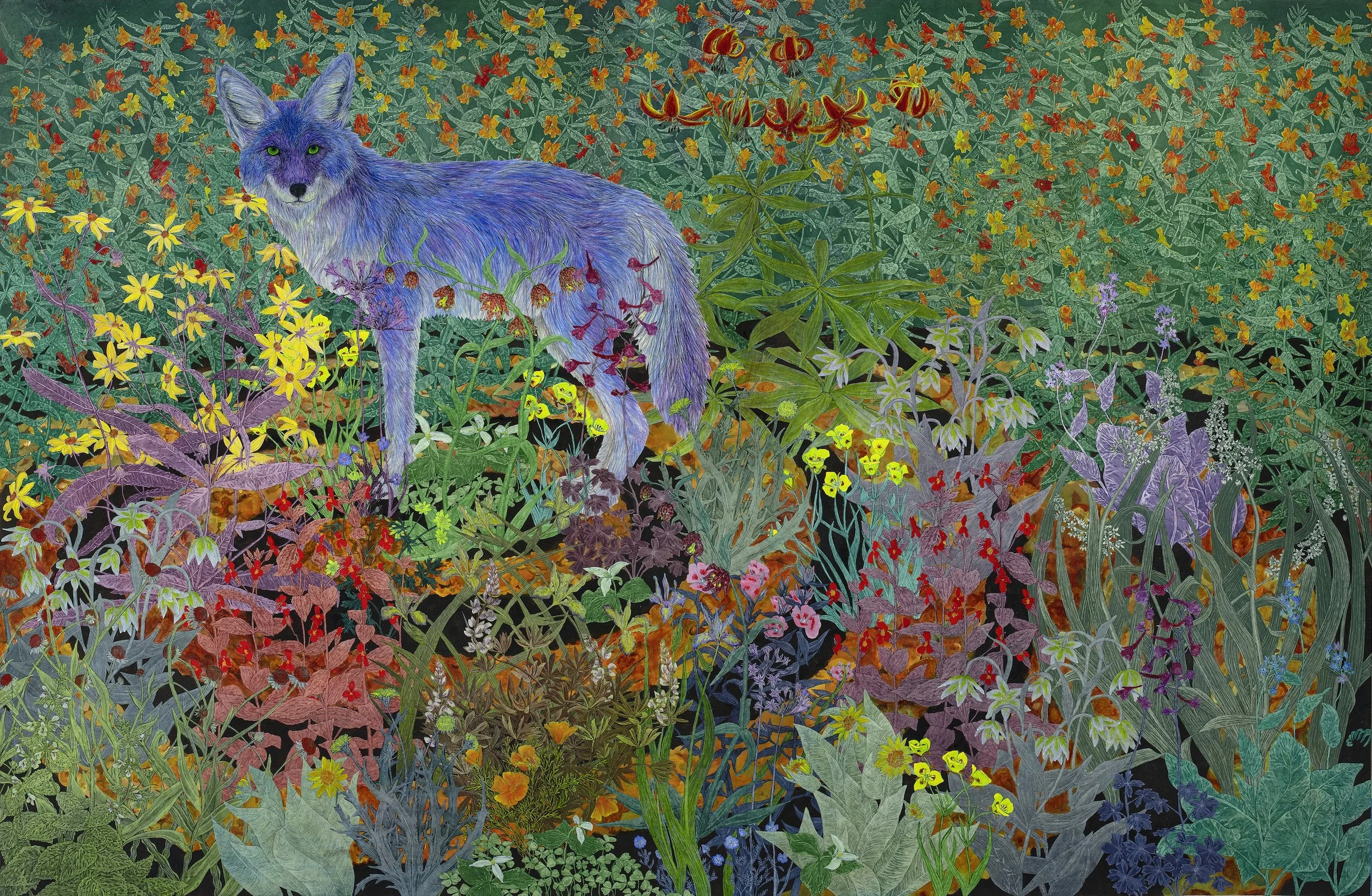 Coyote in the Oak Manor Labyrinth, 46" x 70, collage of aquatint etchings with acrylic on panel, 2025
