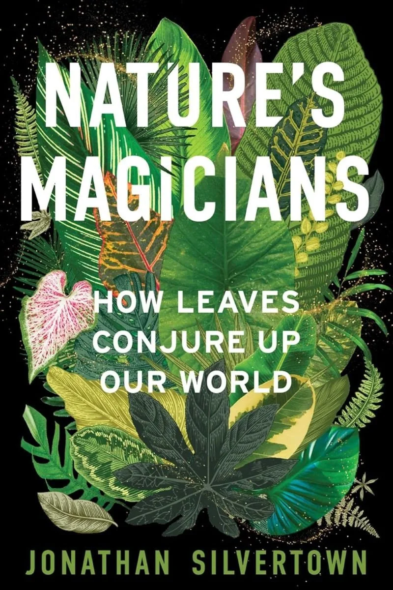 Nature's Magicians.jpg