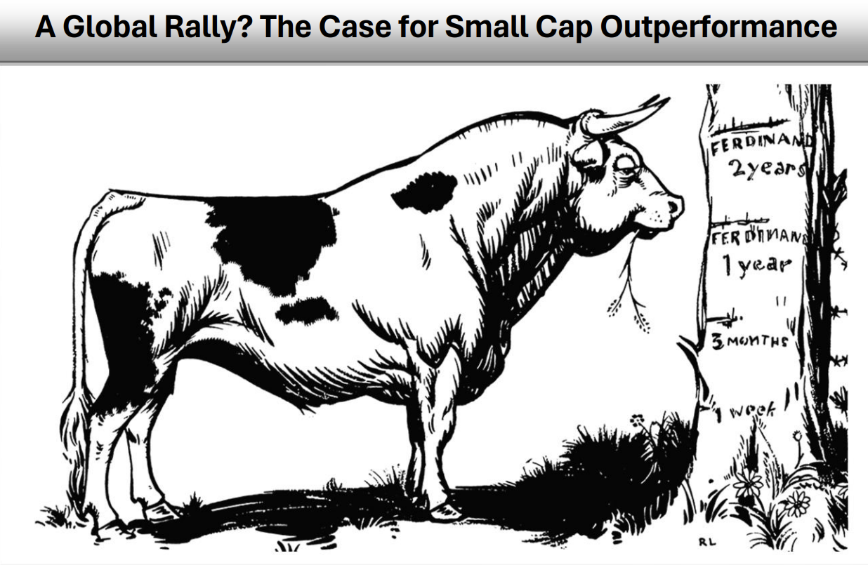 A Global Rally? The Case for Small Cap Outperformance