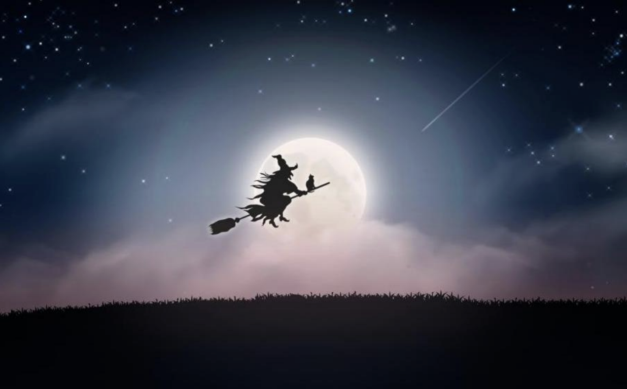 Hocus Pocus, Market Focus
