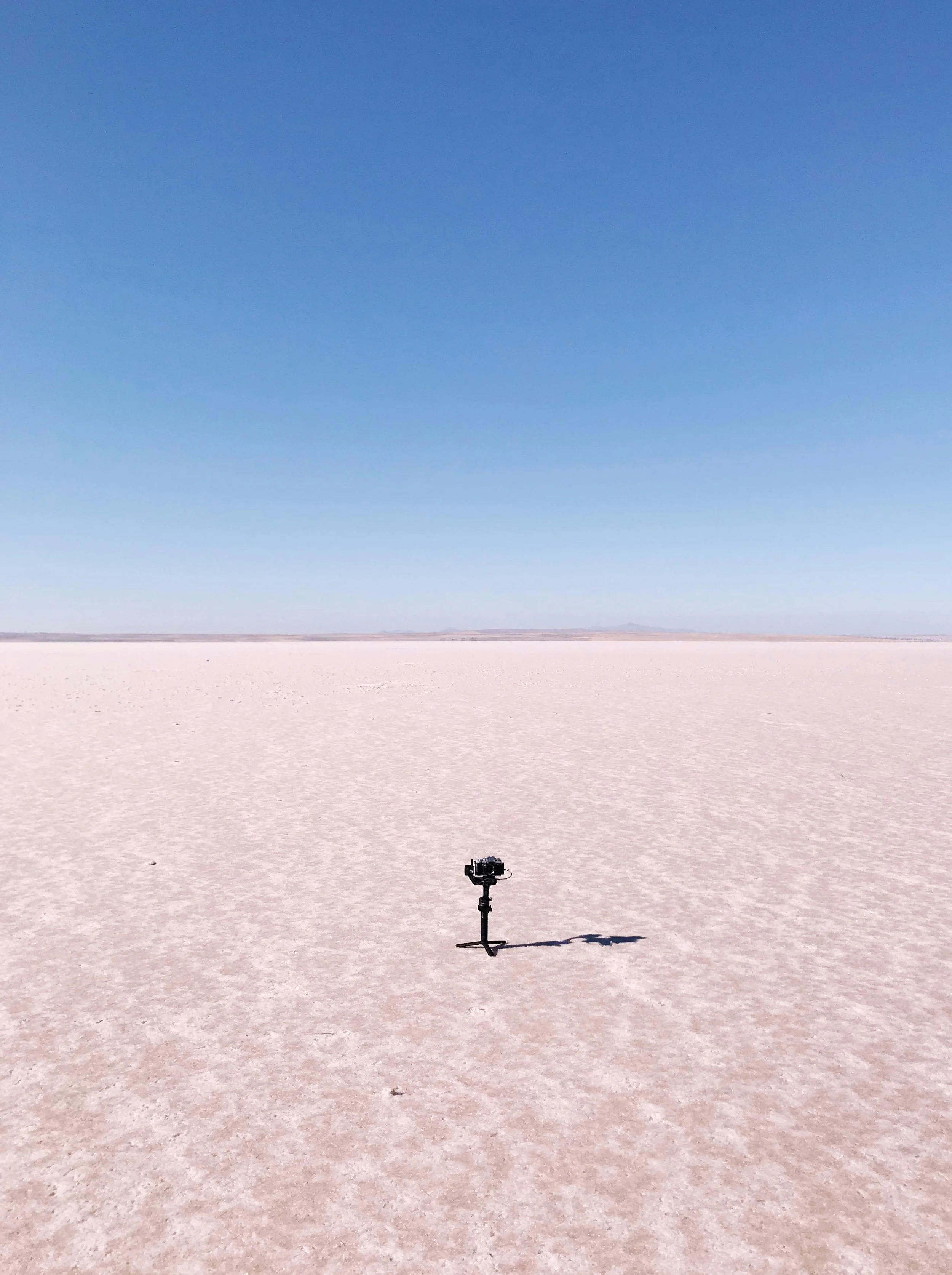 Market Paralysis: The Importance of Staying Visible During Uncertainty