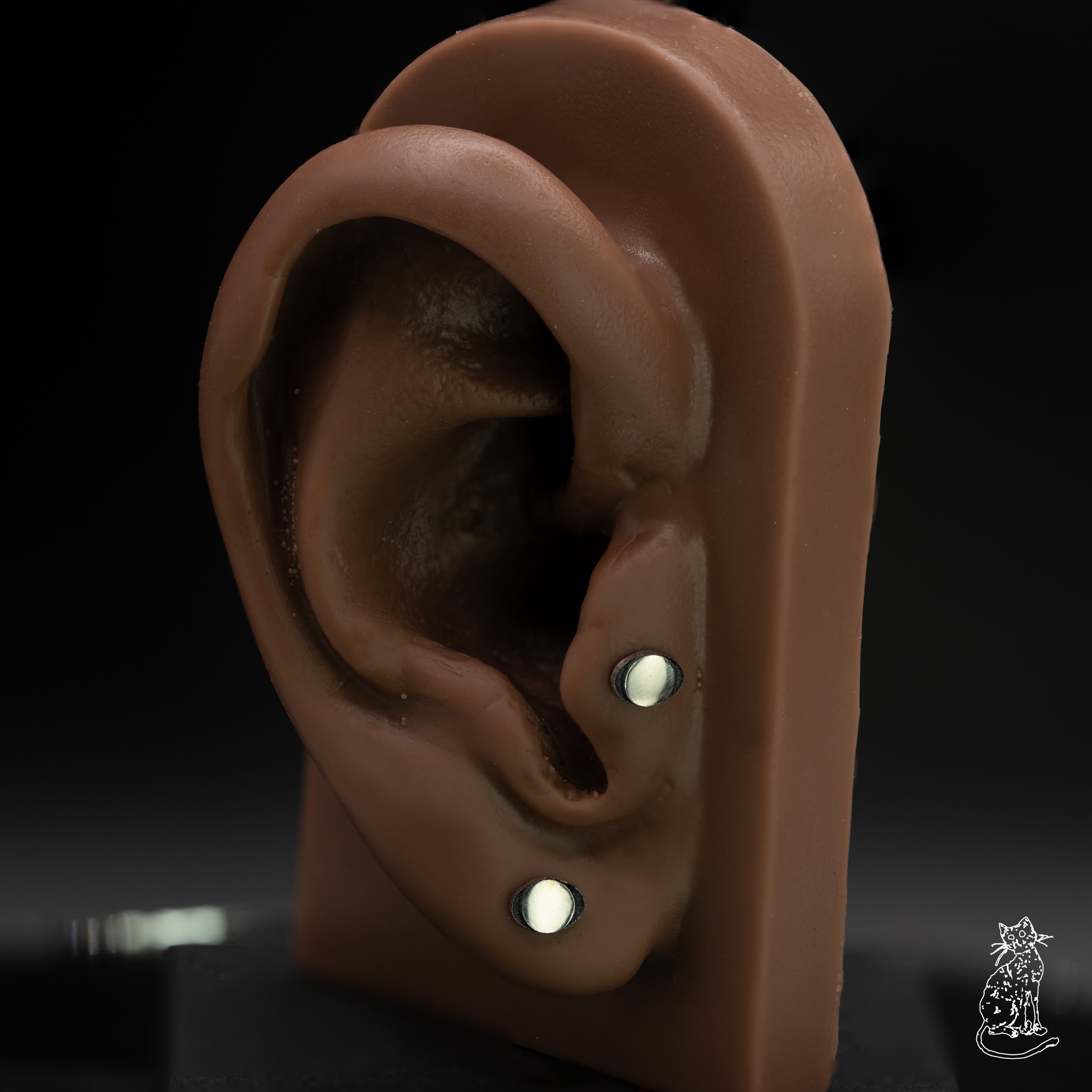 orb black acents on ear_.jpg