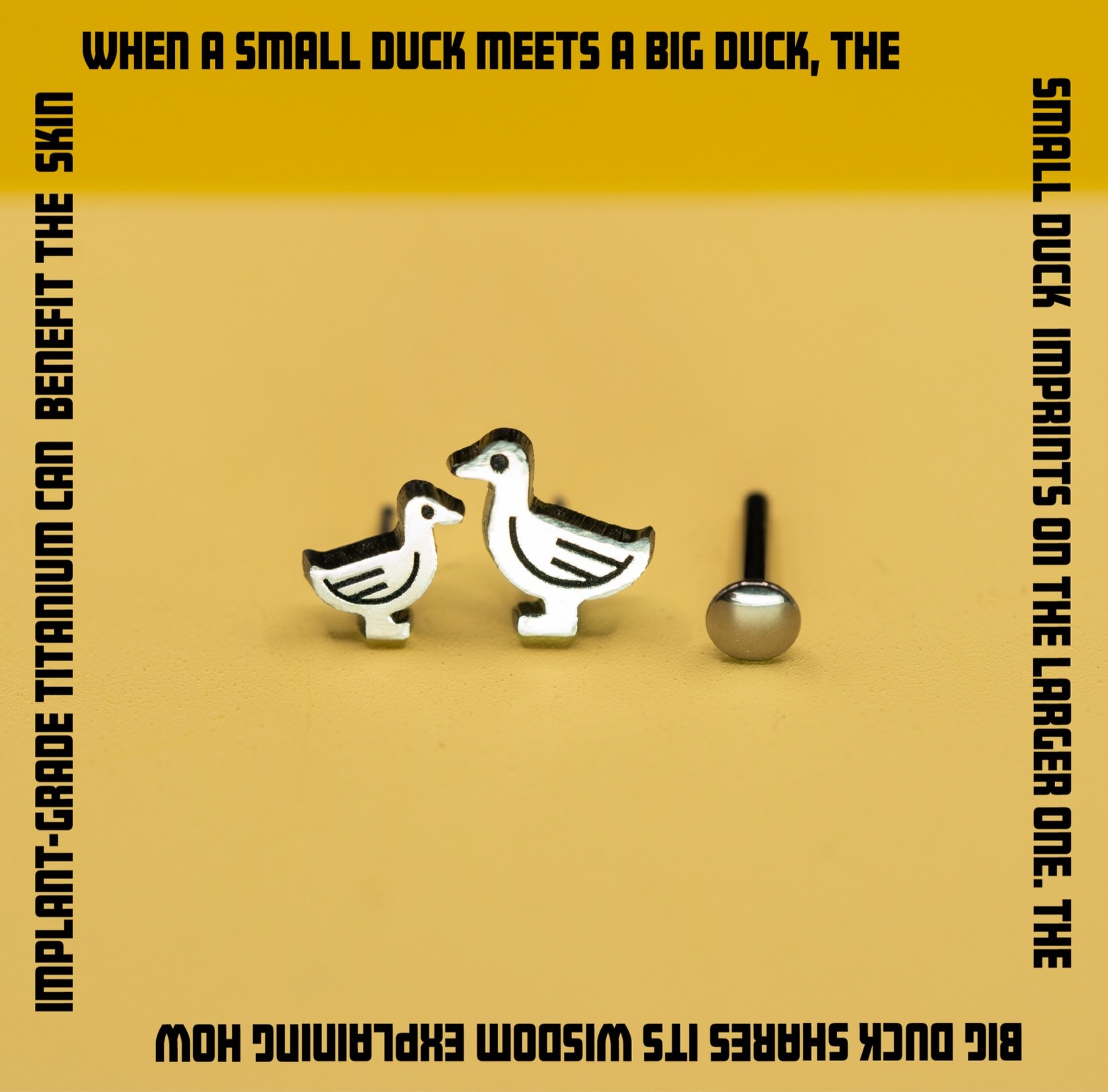 Ducks-+tiny%2C+medium+word+boarder.jpg