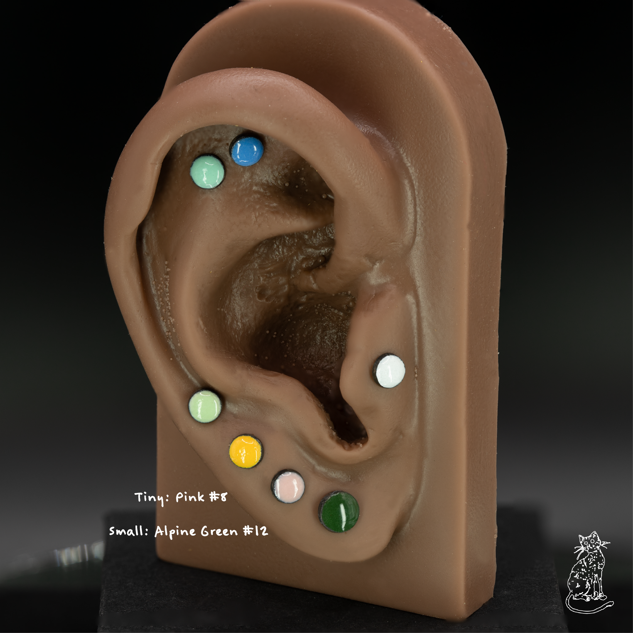 enamel circle on ear sizes .png