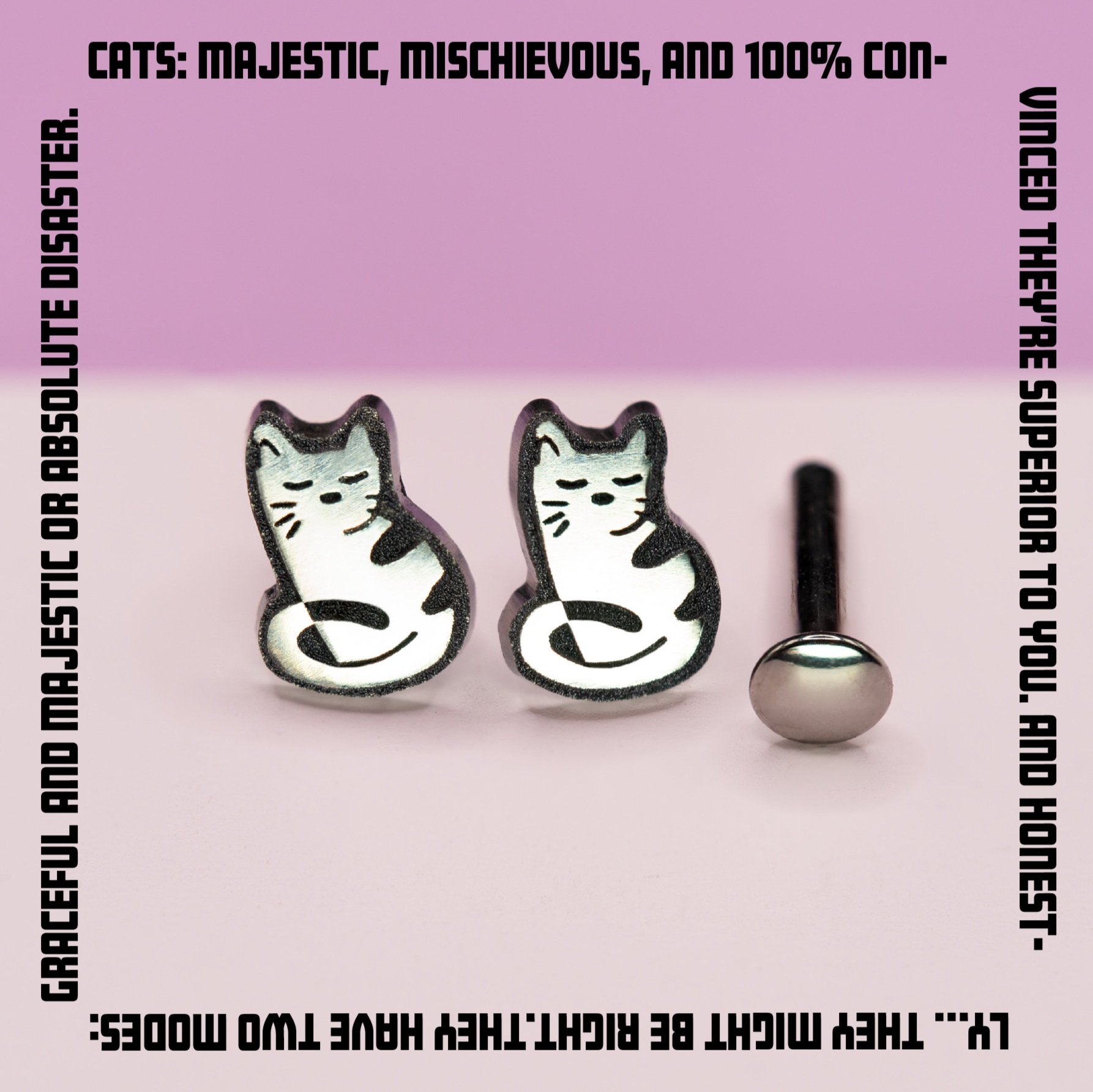 cat+v3+word+border.jpg