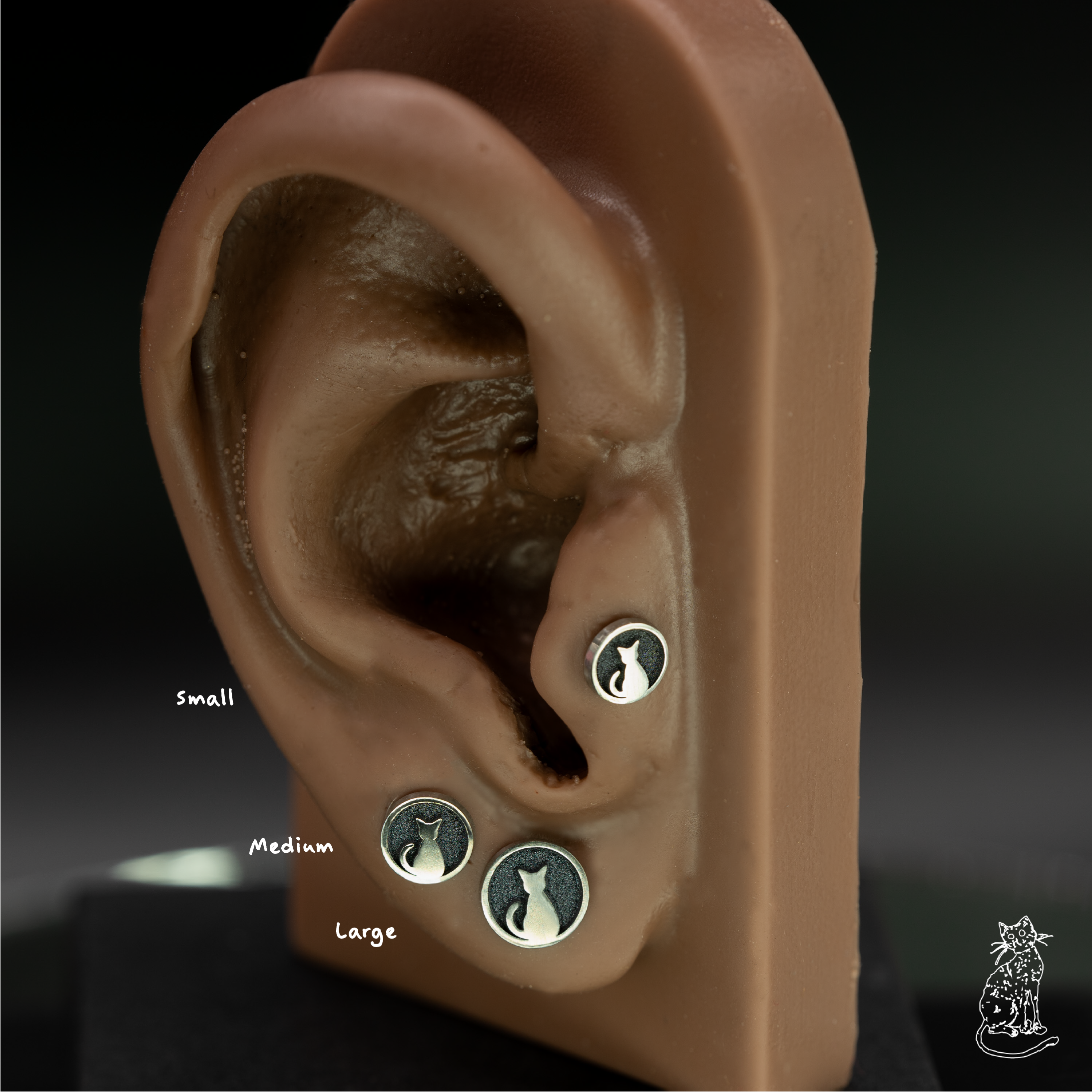 cat circle on ear sizes .png