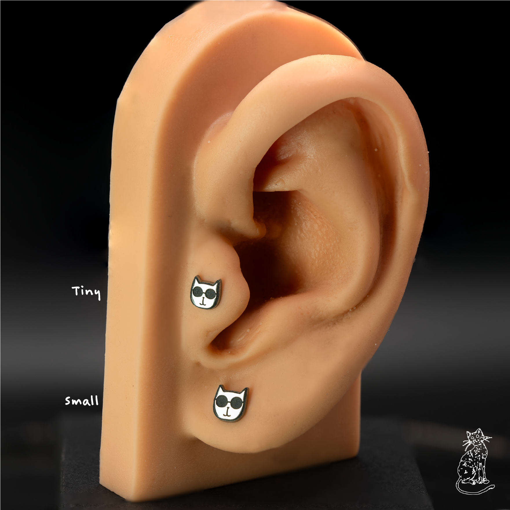 cool cat on ear sizes .png