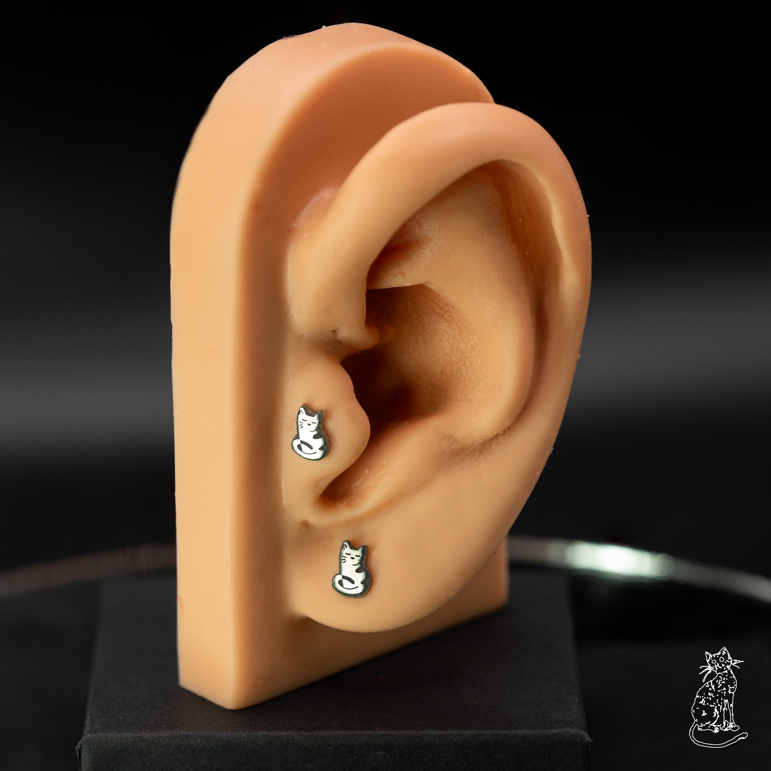 cat v3 on ear.jpg