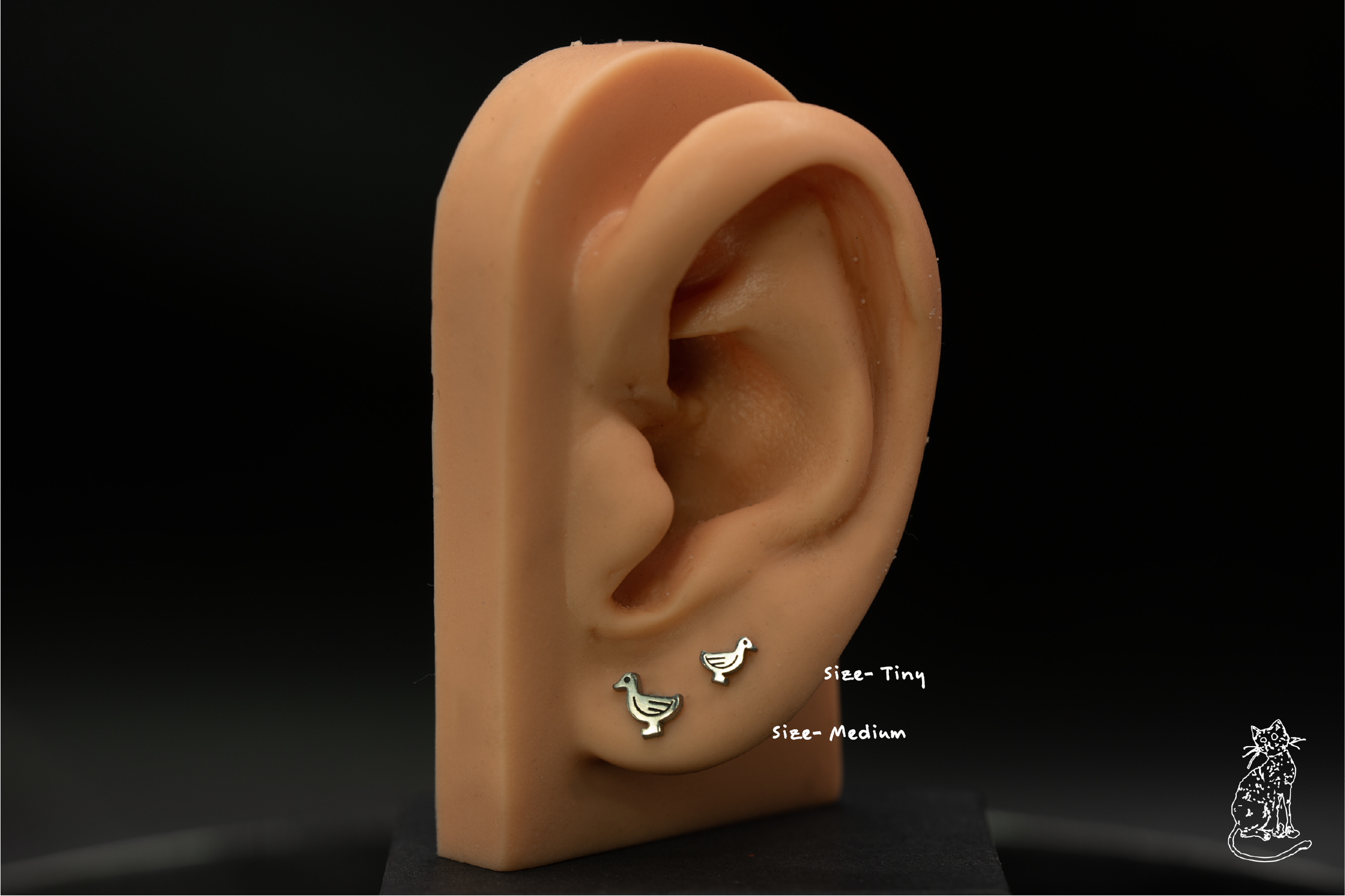 duck- tiny, medium.png