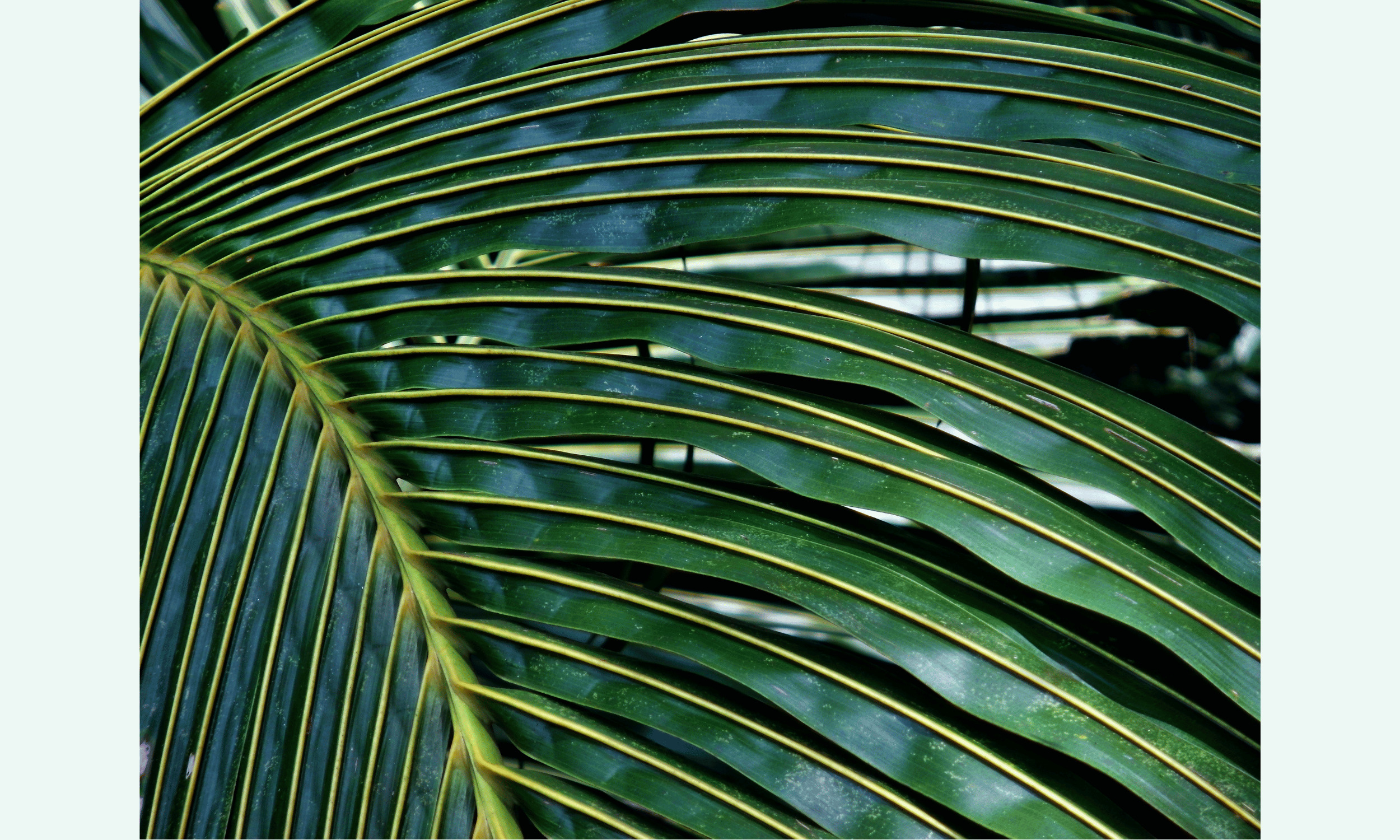 B6C086AA-8074-4738-825D-8F9DD453CBAB.png