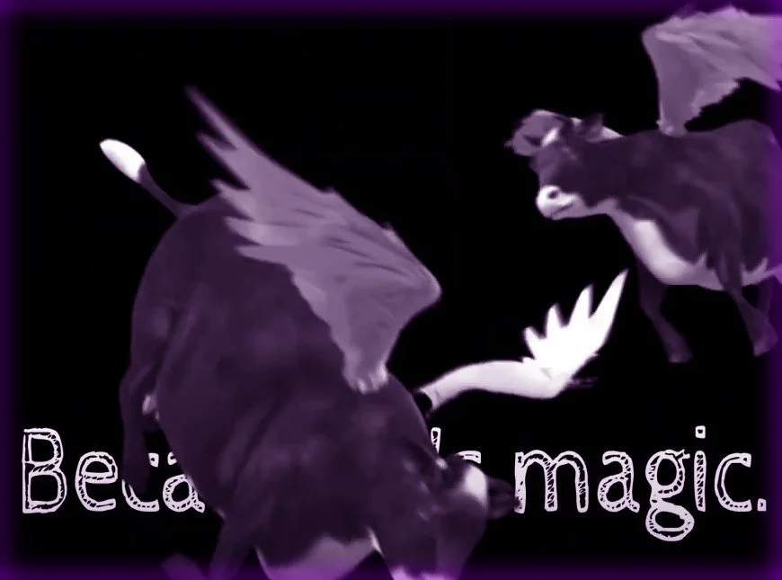 Flying Cows &amp; Magic