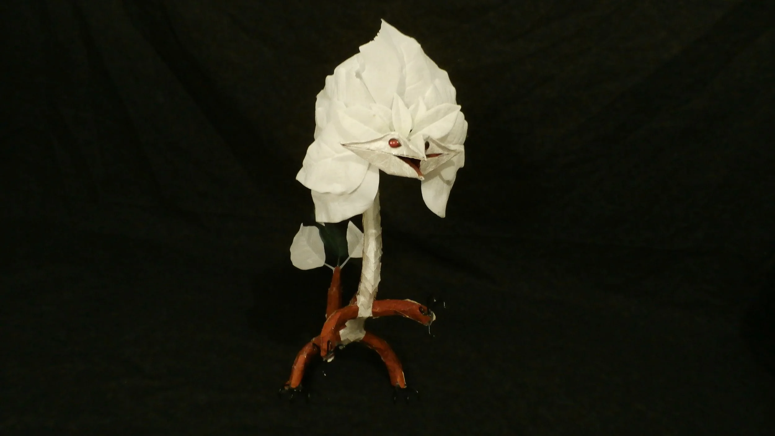 White Poinsettia Dragon