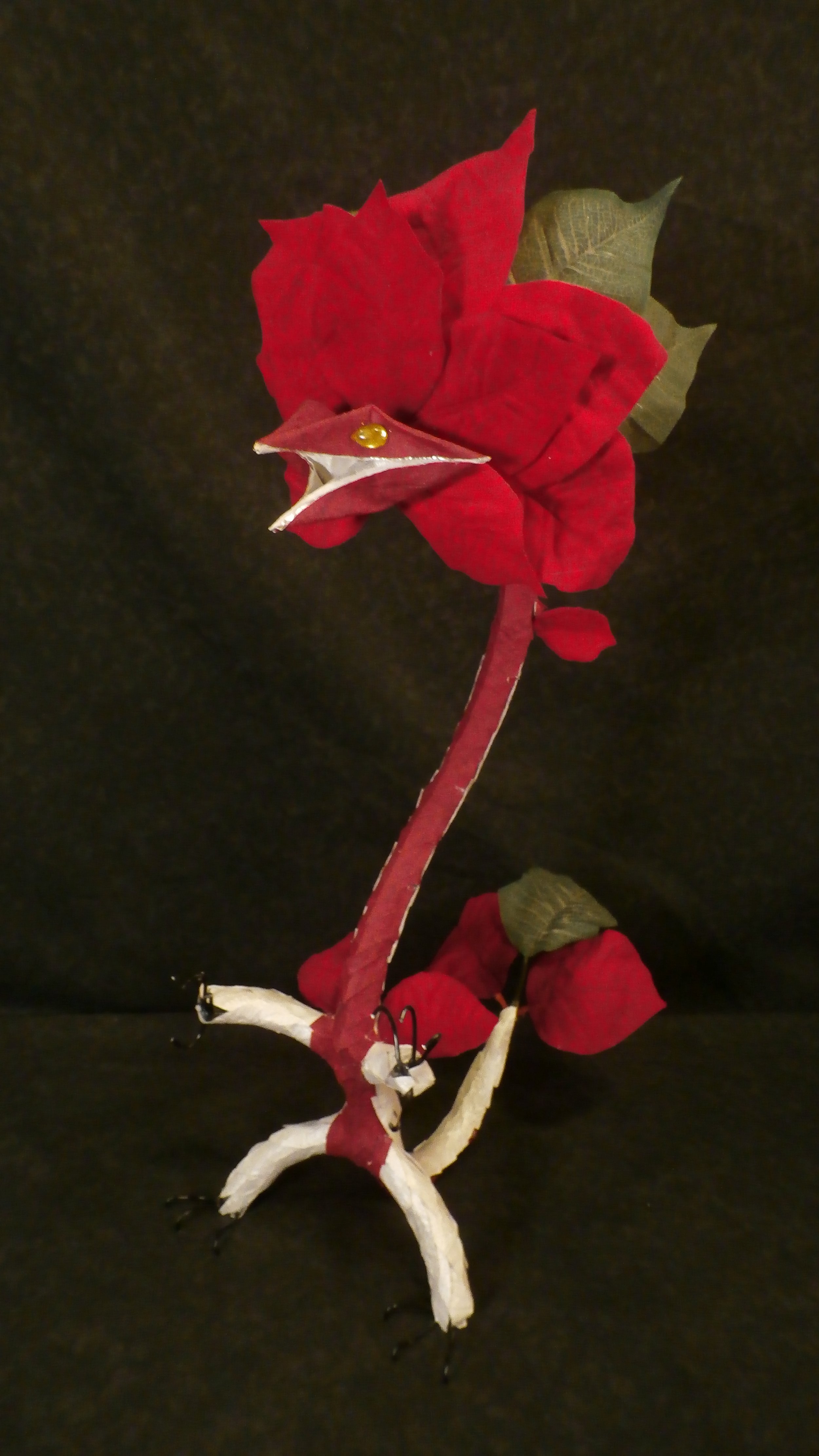 Red Poinsettia Dragon
