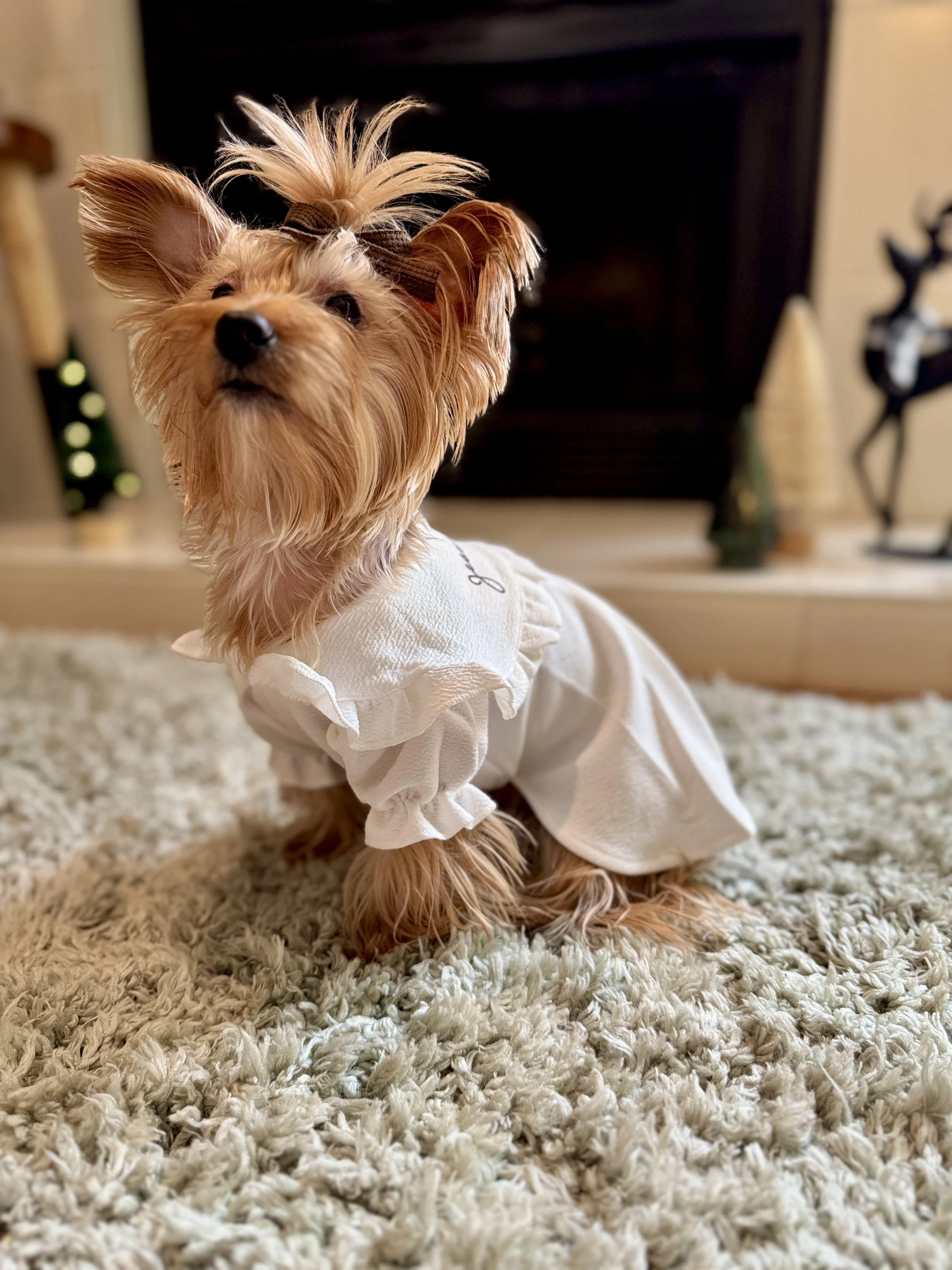 Jesus Loves Me White Dog Dress