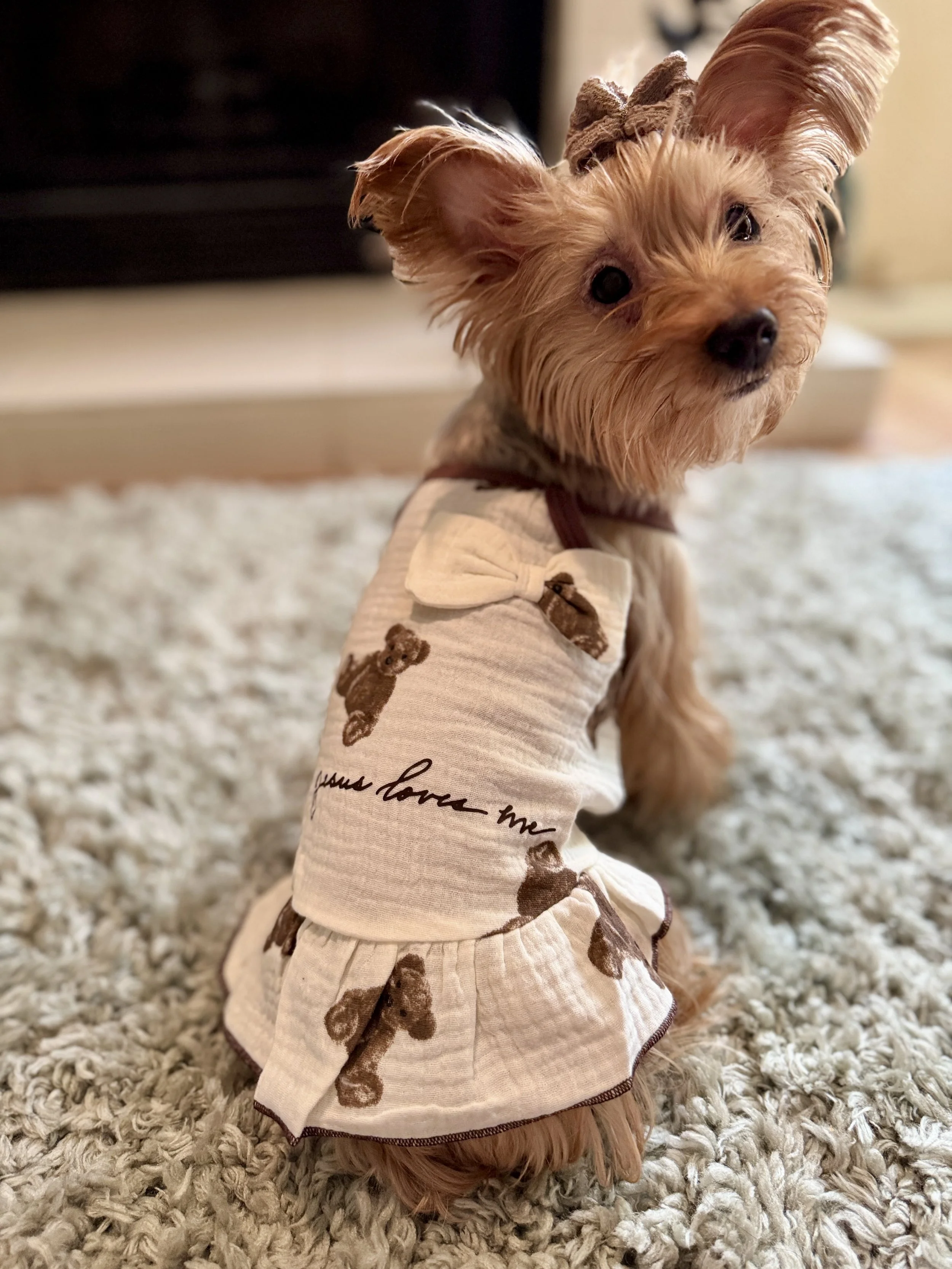 Jesus Loves Me Teddy Dog Dress