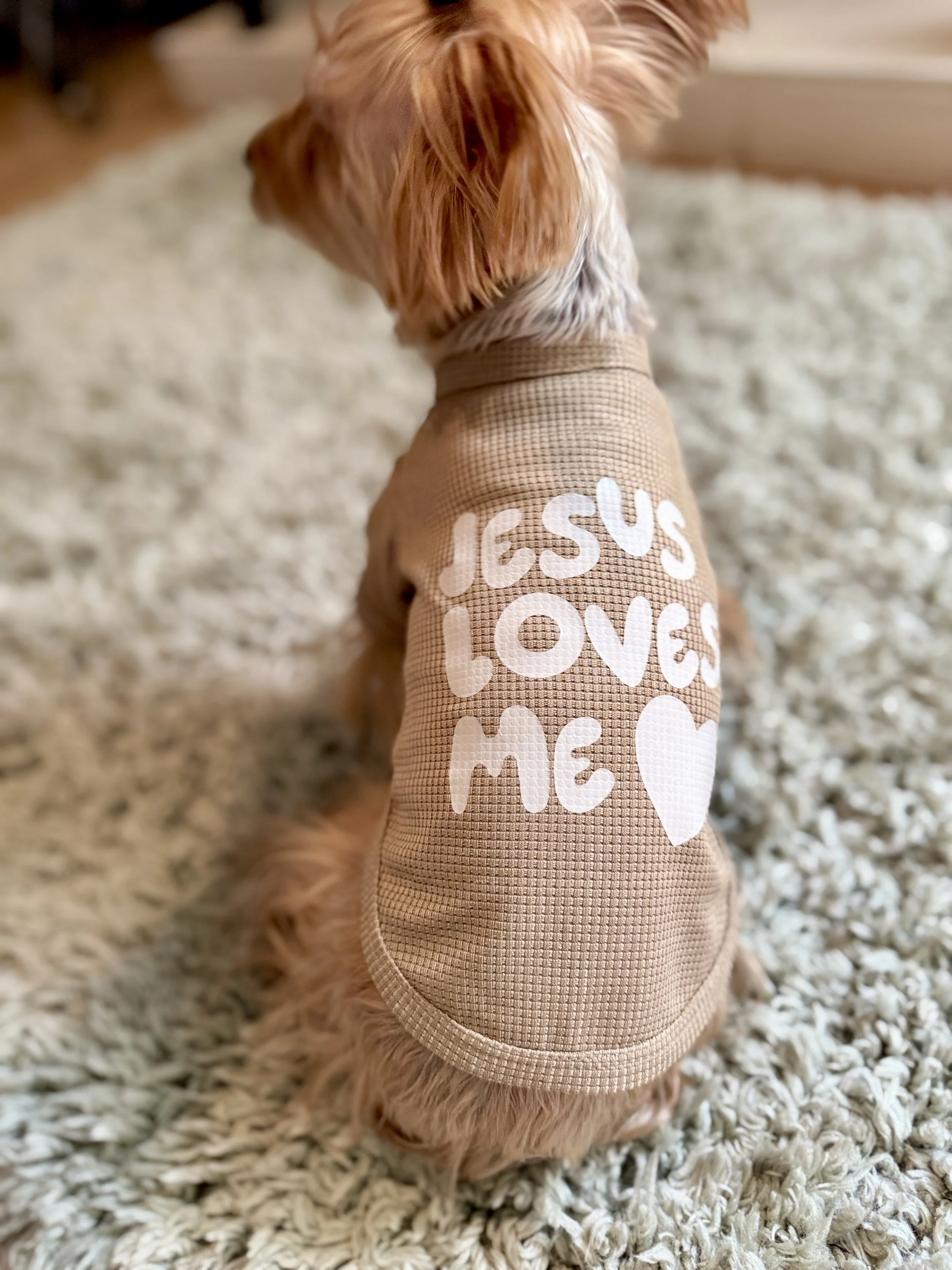Jesus Loves Me Dog Shirt