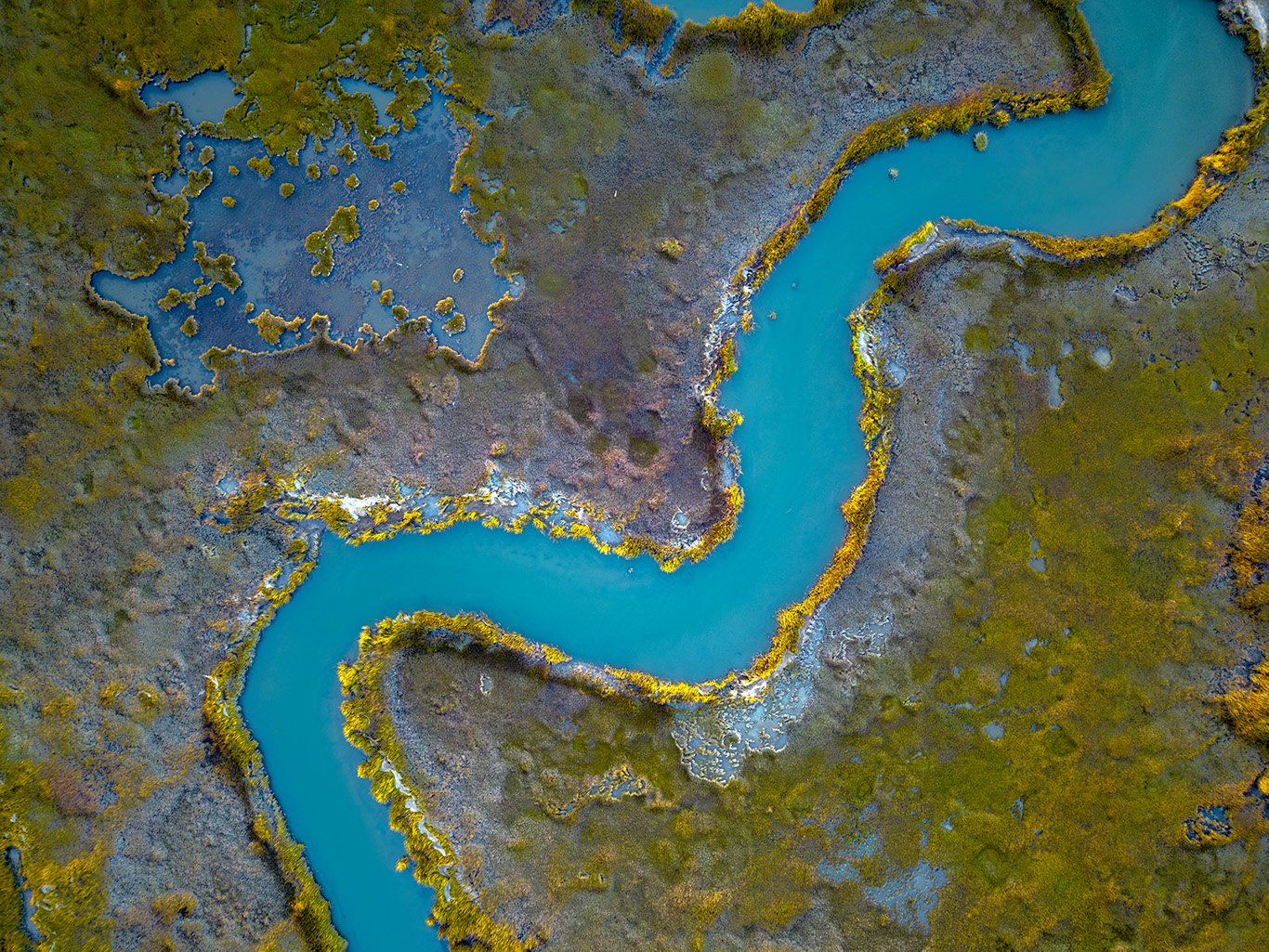 Marsh_10-25-2024.jpg