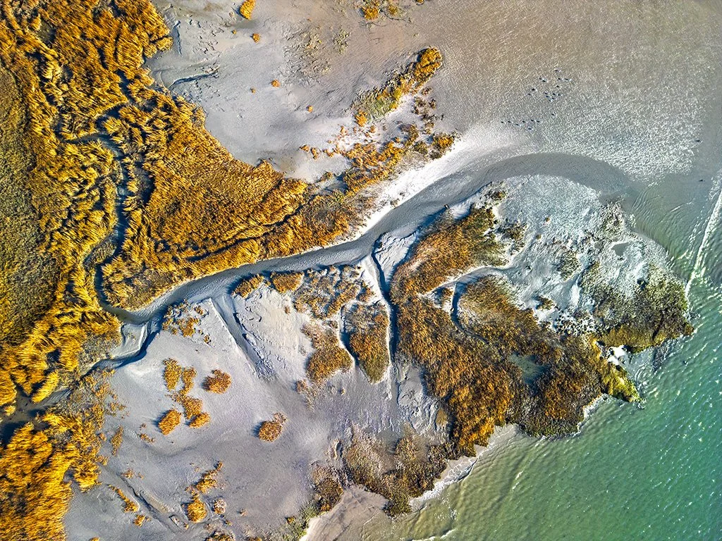 Marsh_12_29_23.jpg