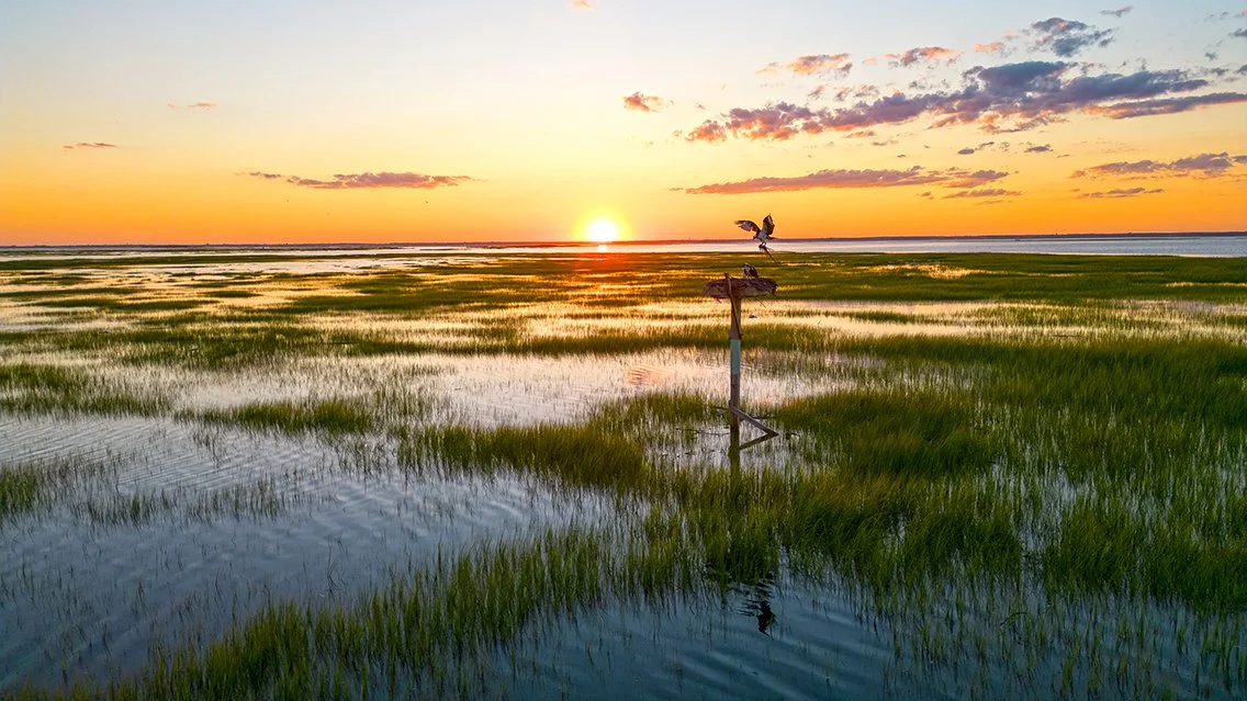 Sunset_7-30-23_2.jpg