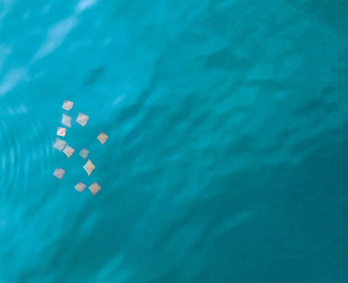 Ocean_8-14-23.jpg