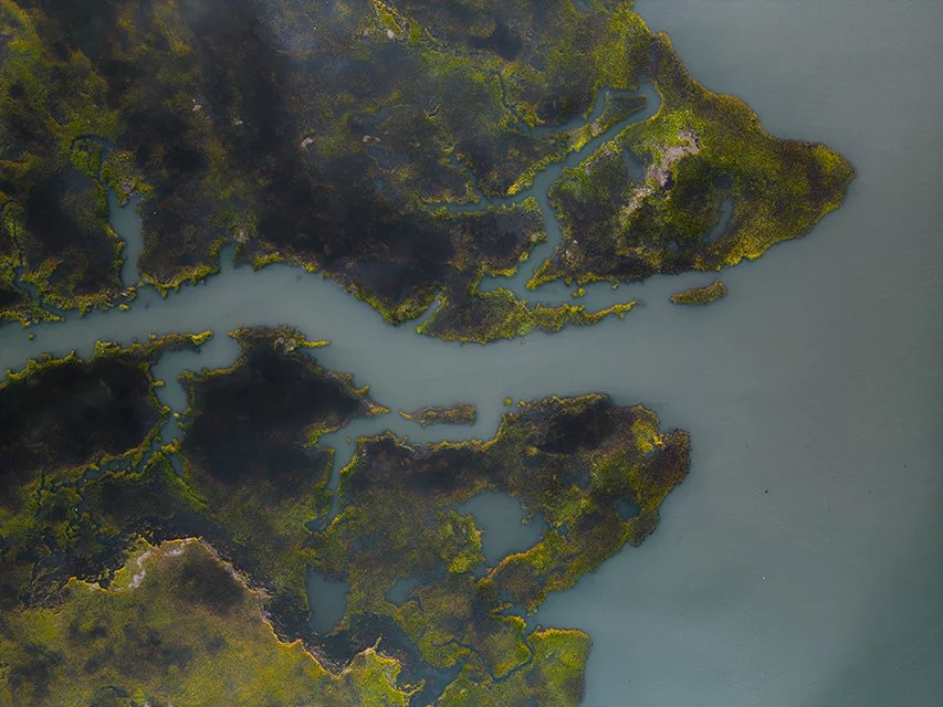 Marsh_7-30-23_2.jpg