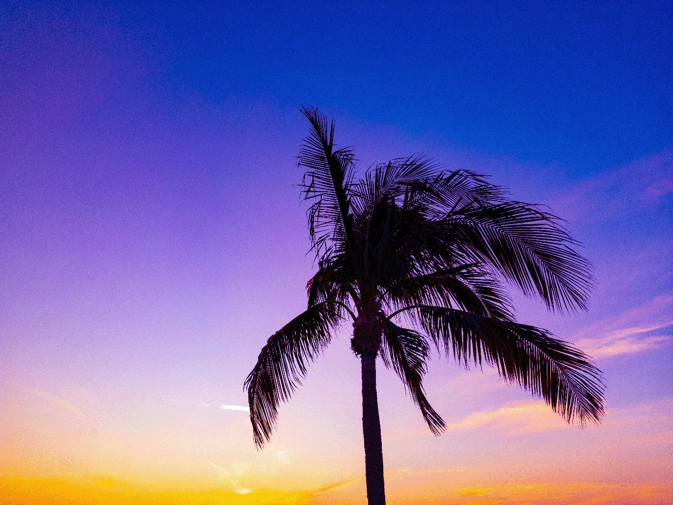 Florida_Sunset_05-02-2024.jpg