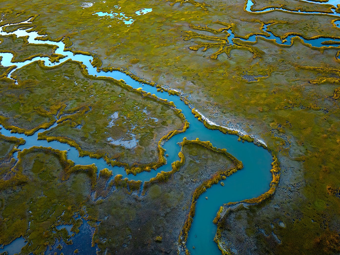 Aerial view of a winding river flowing through a marshland with green vegetation and small patches of water.