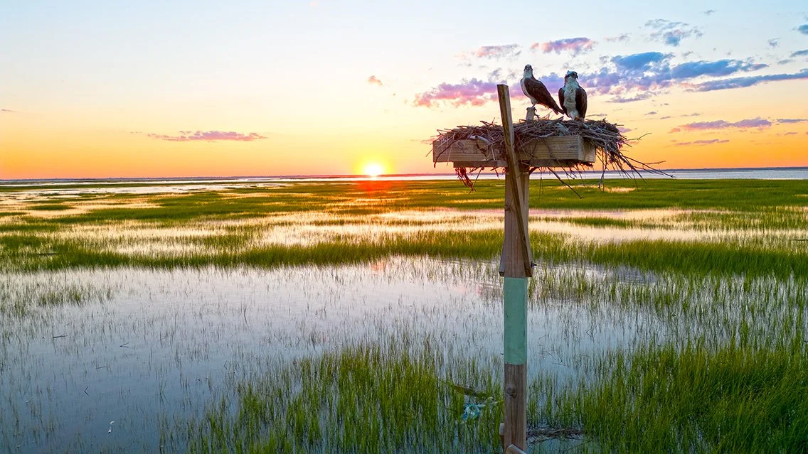 Sunset_7-30-23_6.jpg