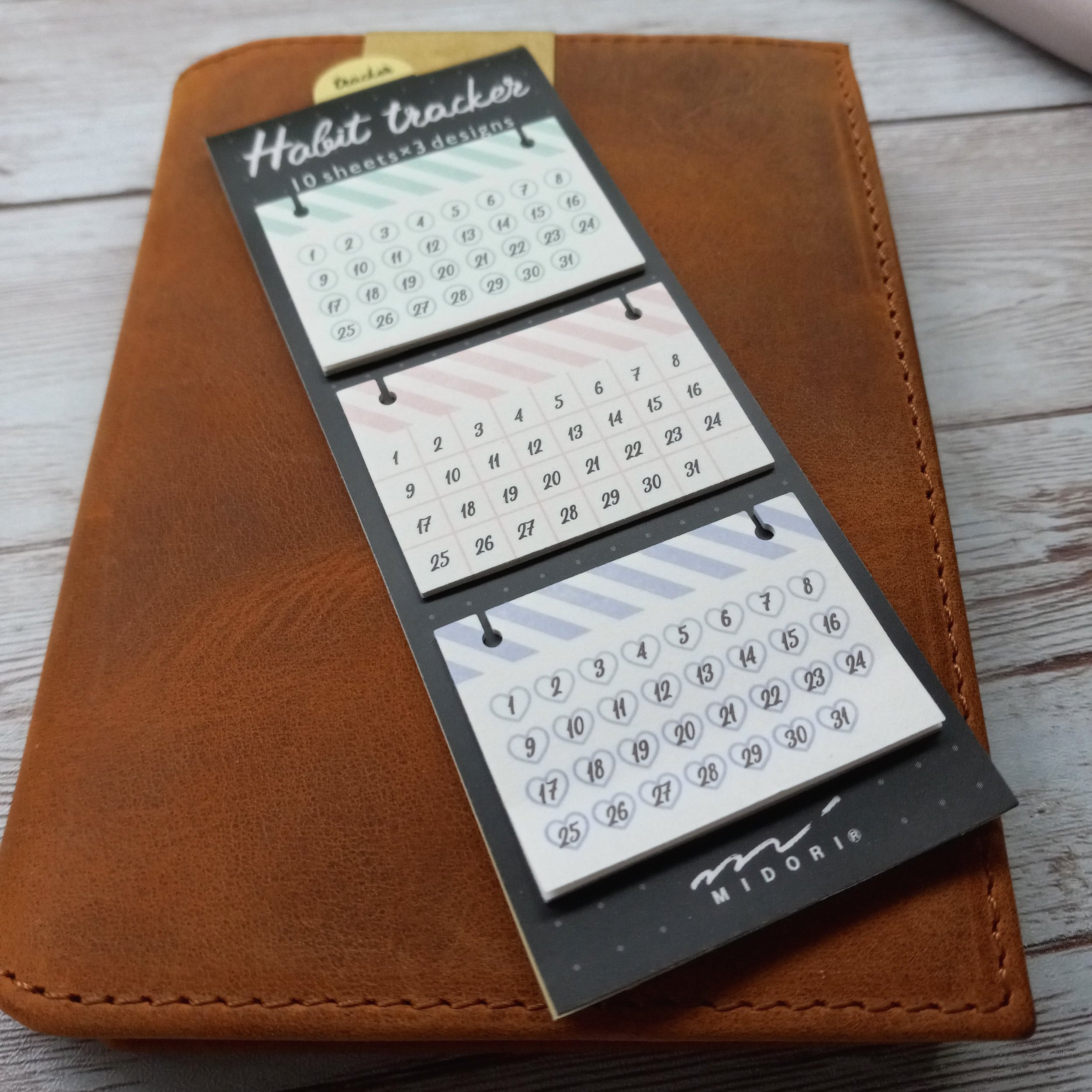 Midori Journal Habit Tracker Sticky Notes