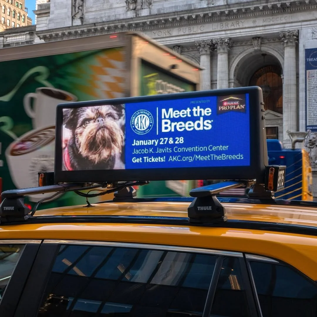 Brooklyn taxi-top advertising campaign in action