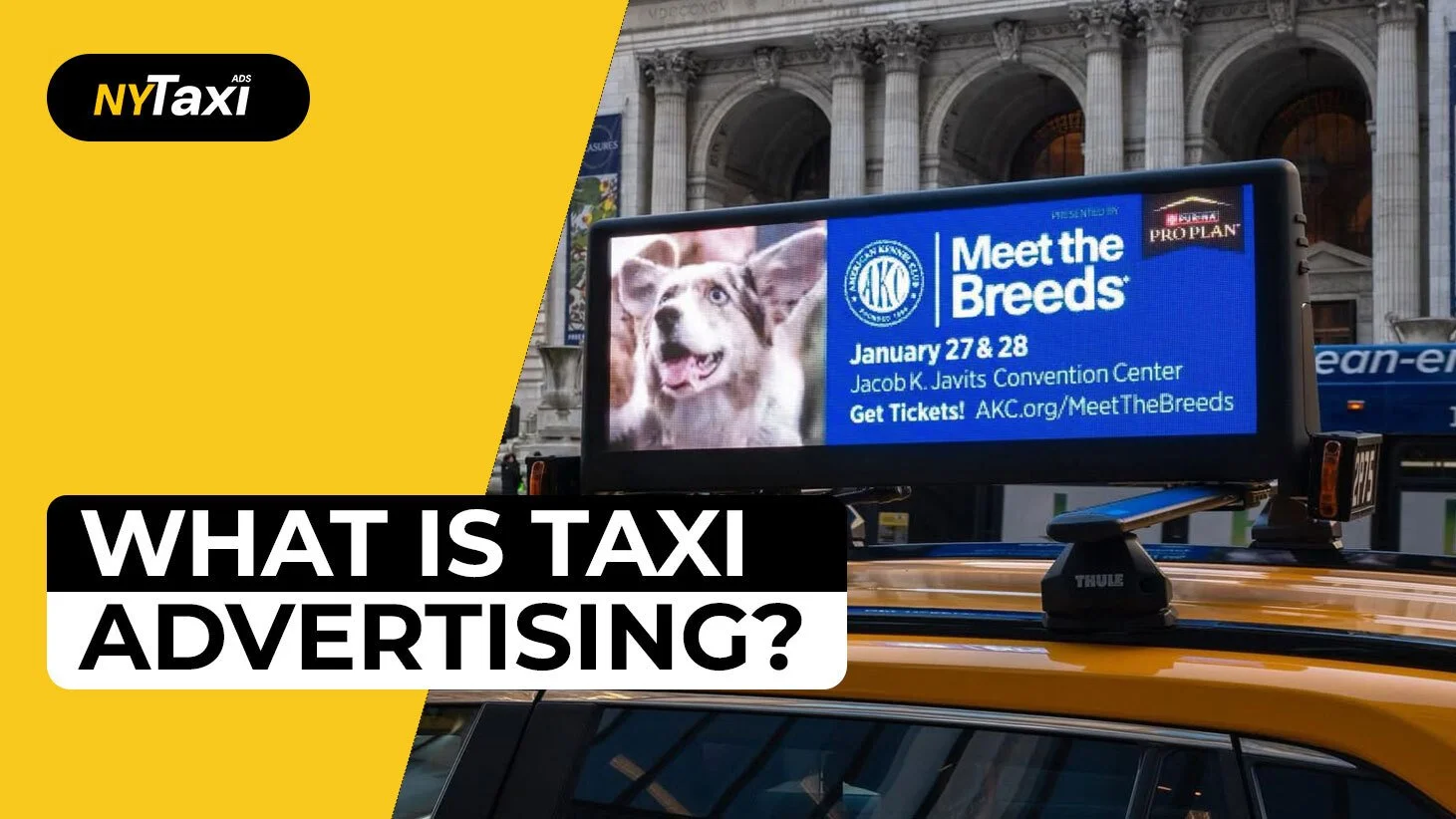 Taxis Ad NYC Cab Ads: Boost Brand Visibility Citywide — NY Taxi Ads