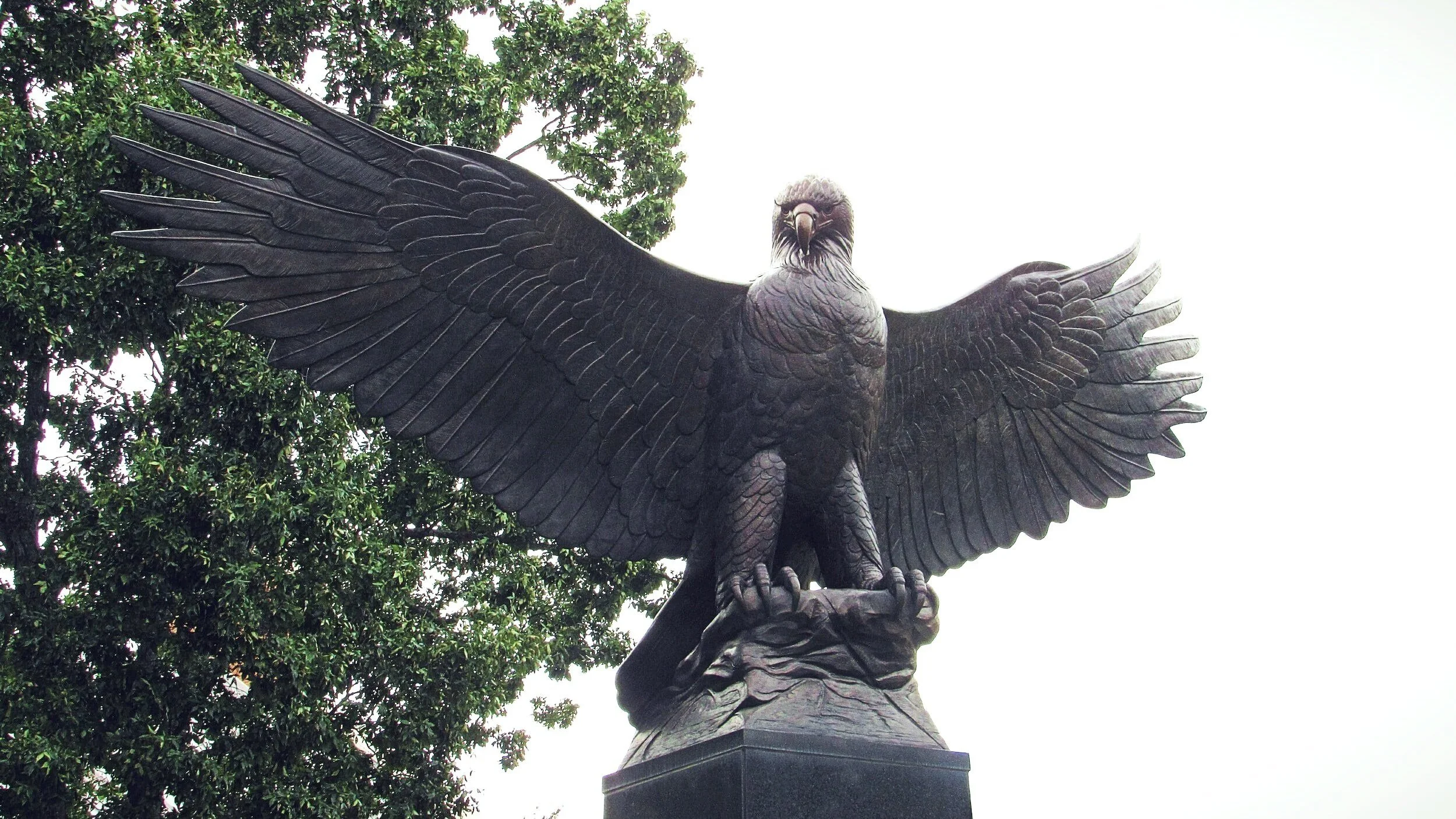 Wings of Valor Eagle Statue Donation