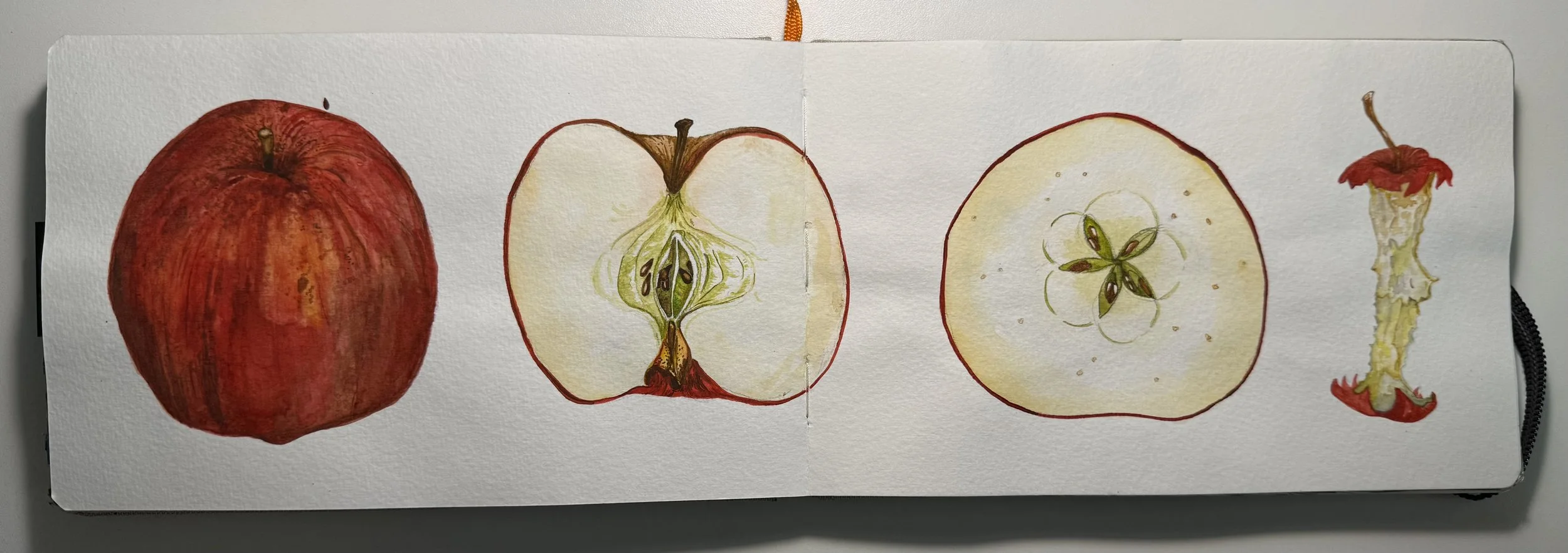 Apples are Crazy