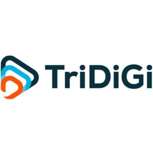 logo Tridigi.png