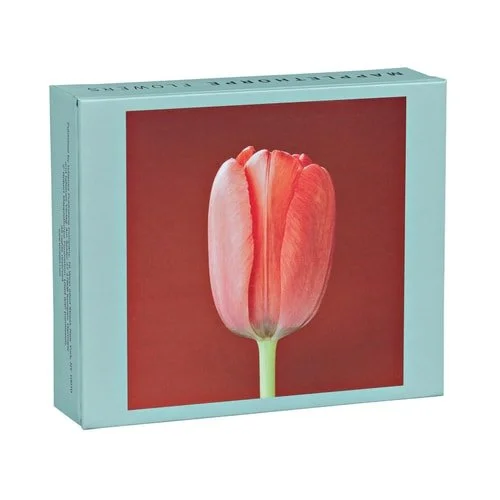 Book cover: Mapplethorpe Flowers QuickNotes: Our Standard Size Set of 20 Notecards in a box with Magnetic Closure by Robert Mapplethorpe Foundation (con)