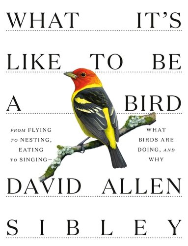 Book cover: What It's Like to Be a Bird: From Flying to Nesting, Eating to Singing--What Birds Are Doing, and Why (Sibley Guides) by David Allen Sibley