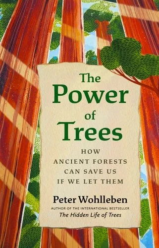 Book cover: The Power of Trees: How Ancient Forests Can Save Us if We Let Them (From the Author of The Hidden Life of Trees) by Peter Wohlleben