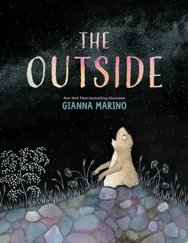 Book cover: The Outside by Gianna Marino