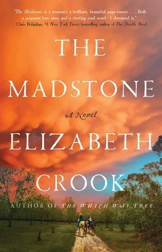 Book cover: The Madstone: A Novel by Elizabeth Crook